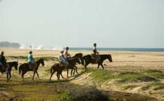 Rutas a caballo en la playa